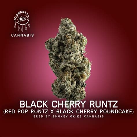 Black Cherry Runtz weed seeds | Buy Marijuana Seeds Online