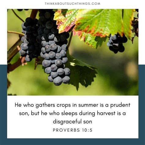 22 Neat Summer Bible Verses You Will Love | Think About Such Things