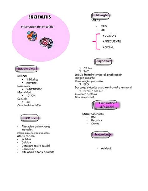 Meningitis Y Encefalitis Somi Udocz