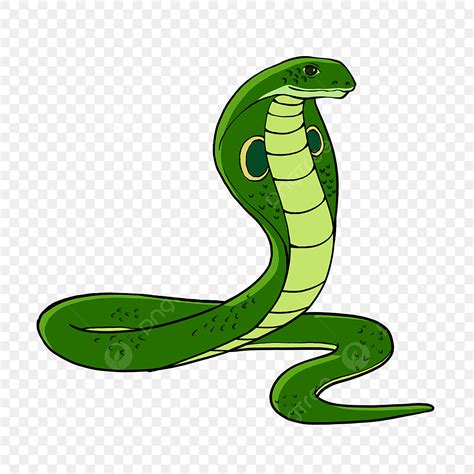 Cobra Personagem De Desenho Animado Bonito Png