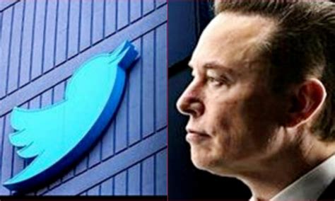 Twitter Job Cuts Elon Musk Lays Off Over 200 Employees To Curb Costs