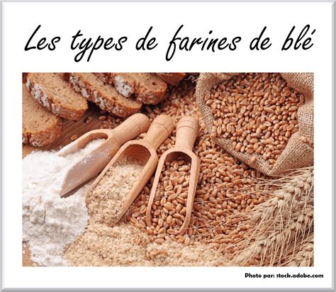 Les types de farines de blé Recettes sans lactose