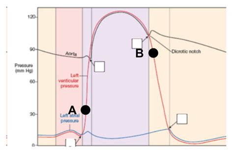 Solved From The Left Ventricular Pressure Curve Shown On The Right