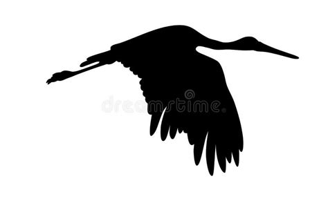 Stork stock vector. Illustration of feathers, migratory - 161463085