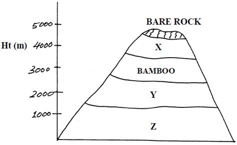 The Diagram Below Represents Zones Of Natural Vegetation On A Mountain