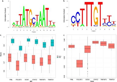 Transcription Factor Binding Enrichment Analysis In A And B The