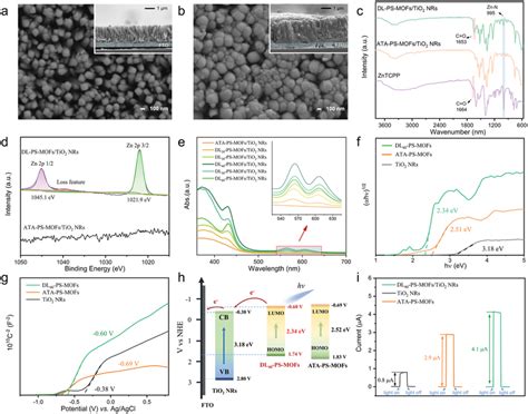 SEM Images Of A TiO2 NRs FTO And B DLPSMOFs TiO2 NRs FTO Insets