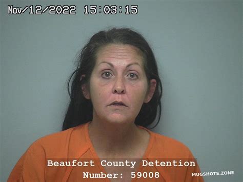 Lesley Ann Fryt 11122022 Beaufort County Mugshots Zone