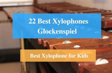 22 Best Xylophone Reviews 2022 – Best Xylophone for Kids and Adult - CMUSE