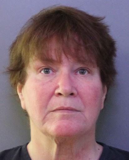 Pcso Detectives Arrest Lakeland Woman For Scheming To Defraud And Theft