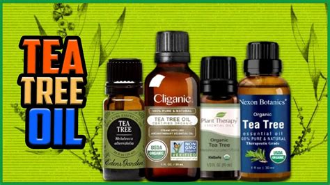 Top 5 Best Tea Tree Oils In 2022 Reviews Natural And Organic Price