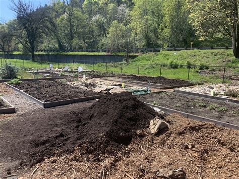 Kingsley Park Community Garden Plots Open – Linnton Neighborhood