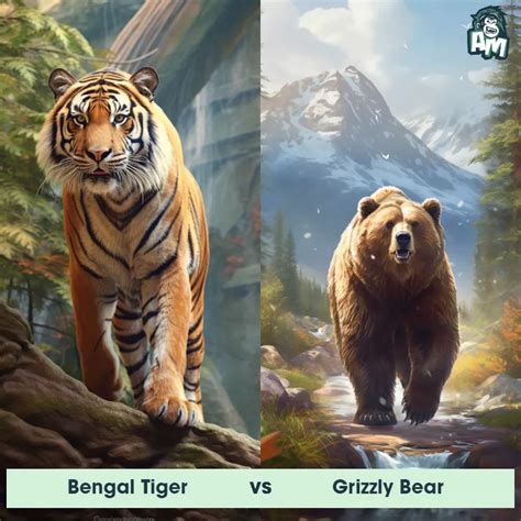 Bengal Tiger vs Grizzly Bear: See Who Wins | Animal Matchup