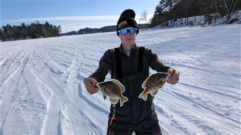 Ice Fishing For Giant Bluegills Underwater Footage Youtube