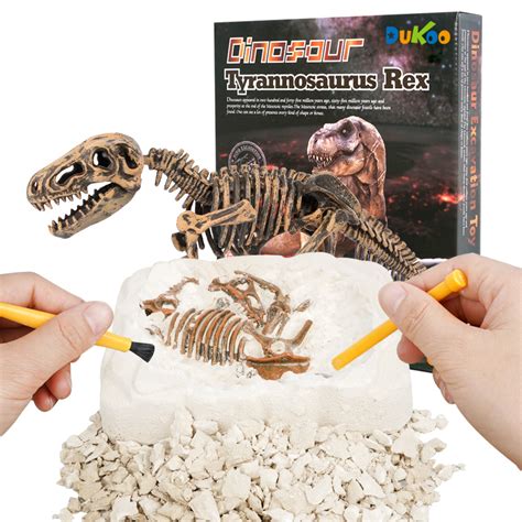 China Dukoo Dinosaur Dig Kit – 9 different Dinosaur skeletons Inside Great STEM Toy for Boys and ...