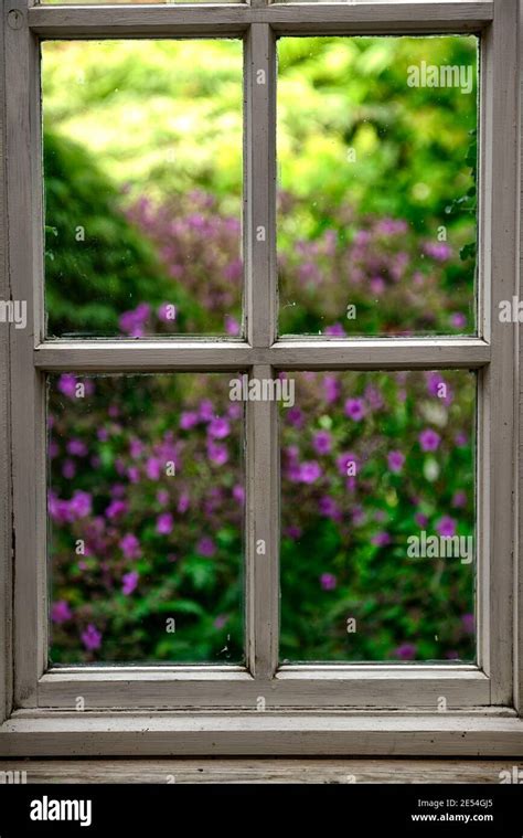 window,looking out at blurred garden,imagination,dream,dreamymlook ...