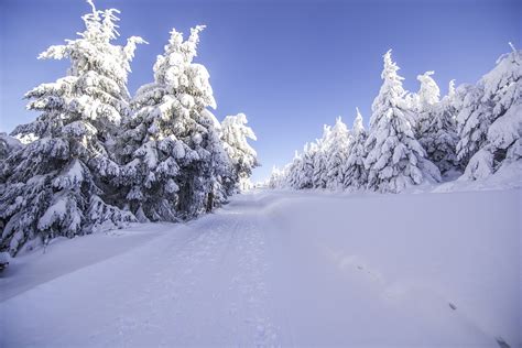 Winterlandschaft Spuren Im Schnee Kostenloses Foto Auf Pixabay Pixabay