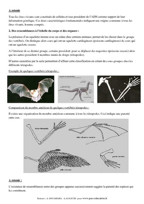 Evolution Des êtres Vivants 3ème Cours Svt Brevet Des Collèges