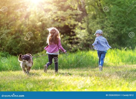 Children Walking with a Dog in Nature Stock Photo - Image of walking ...