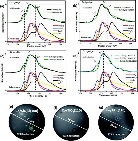 Direct Observation Of The Evolving Metalsupport Interaction Of