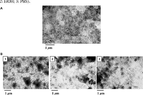 Figure 1 From Adverse Effects Of Industrial Multiwalled Carbon