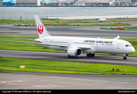 JA875J Japan Airlines Boeing 787 9 By Nicolas Williams AeroXplorer