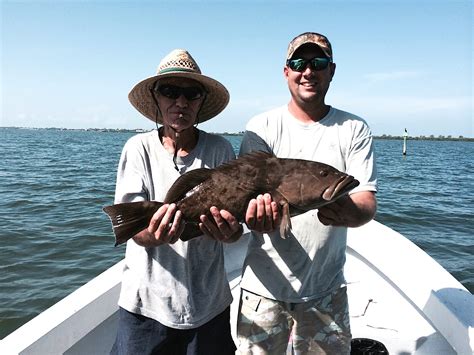 Fort Myers Fishing Report 8 25 14 Grouper FortMyers Fort Myers