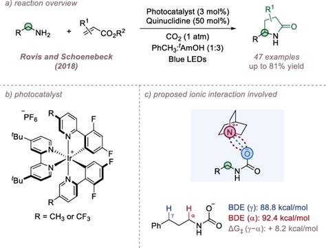 Site Selective Alkylation Of Primary Amines In Which Ion Pair Directed Download Scientific