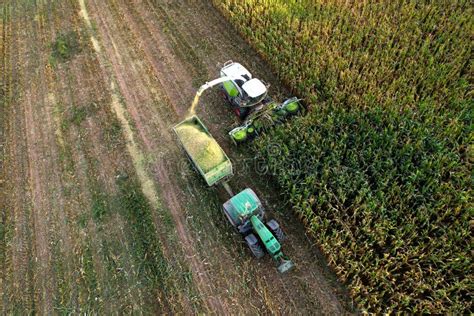 Forage Harvester Claas On Maize Cutting For Silage In Field Self