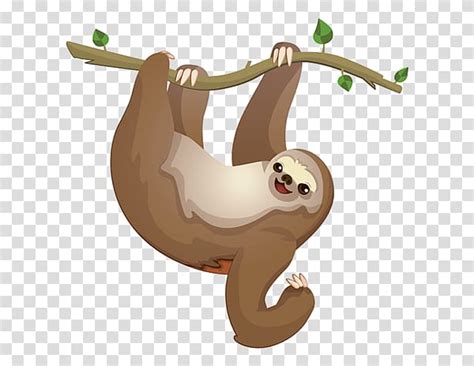 Transparent Background Sloth Clipart Png 10 Free Cliparts Download