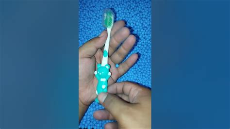 Menemukan Sikat Gigi Finding Toothbrush Sikat Gigi Anak Sikat