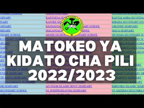 Matokeo Ya Form Two 2023 Tanzania Printable Forms Free Online