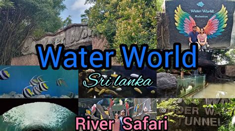 Water World Sri Lanka Kelaniya River Safari Fish Aquarium ශ්