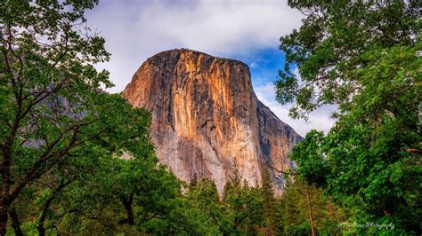 Widok Zza Drzew Na G R El Capitan W Parku Narodowym Yosemite