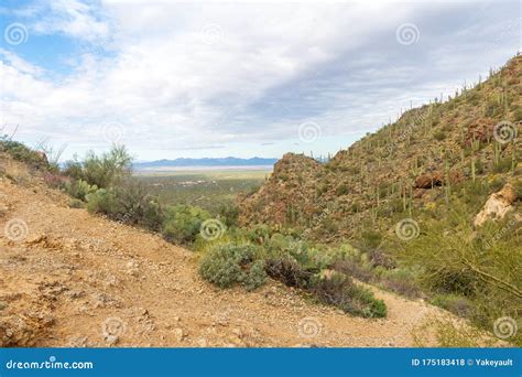 Desert View At Gates Pass In Tucson Mountain Park Stock Photo Image