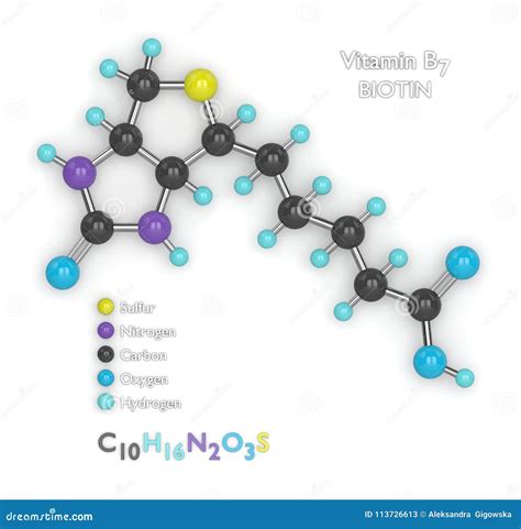 D Render Of Molecular Model And Formula Of Vitamin B Stock