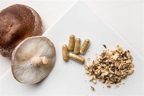 Are Mushrooms Good For You 9 Benefits Holland And Barrett