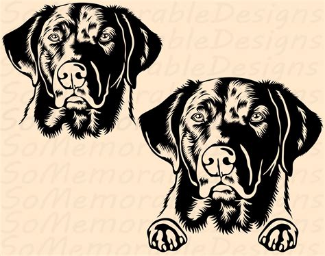 Chesapeake Bay Retriever Svg Cut File For Cricut Chesapeake Bay