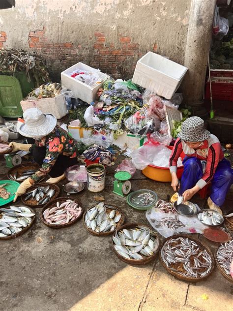 Vegetarischer Kochkurs In Hoi An Vietnam Leo S Welt