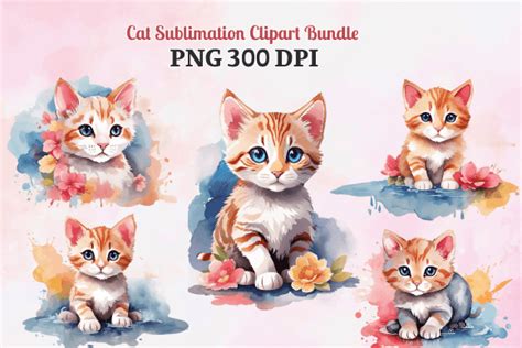 Watercolor Cat Sublimation Clipart Designs Graphics