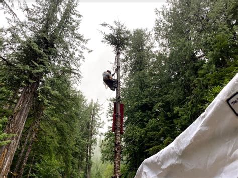 Fairy Creek Activists Say Rcmp More Aggressive When No Observers