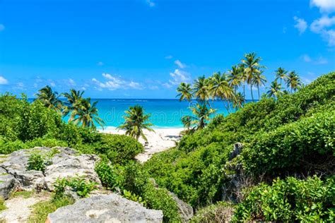 Bottom Bay Barbados Paradise Beach On The Caribbean Island Of