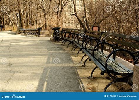 Park Benches Stock Photo - Image: 8175680