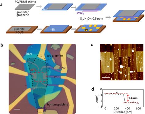 Bilayer WTe2 Device A Essential Steps In Device Fabrication B