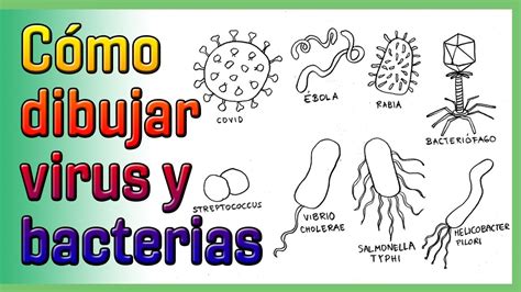 Compartir M S De Hongos Y Bacterias Dibujos Muy Caliente Camera Edu Vn