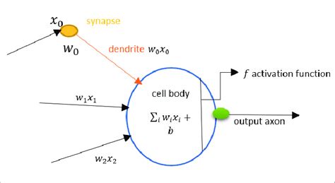 Artificial Neuron In Fig 1 Neuron Structure Of Ann Is Shown Function