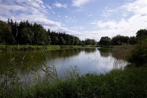 Telex Hat nyolc éve még azt mondták erre hogy luxusberuházás vagy