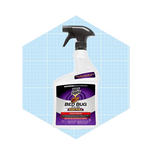 Best Bed Bug Spray to Stop Infestations ASAP | Family Handyman