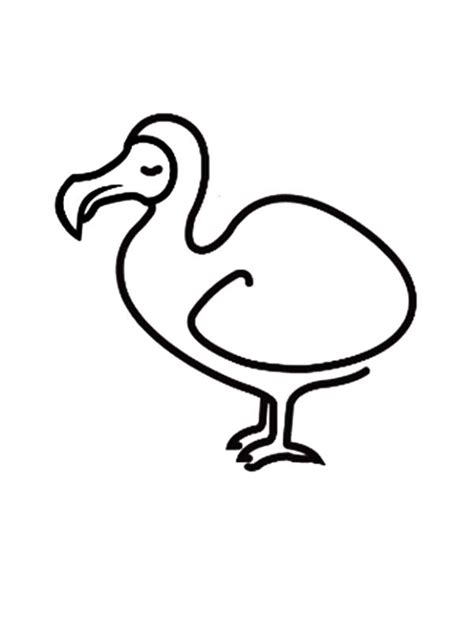 How To Draw Dodo Bird Coloring Pages Netart