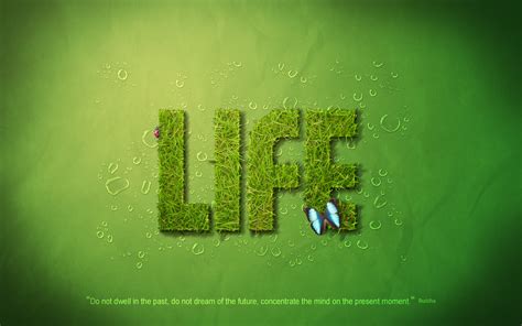 Green Life by ToGa-Design on DeviantArt